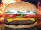 vegetarisk alternativ till kött