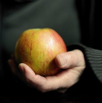 diet för att gå ner i vikt